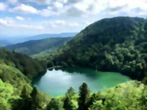 photo Club Vosgien : Les lacs des perches et de Neuweiher