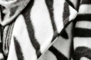 photo Lecture Passe-Moi le Texte - La Grande Prêtresse - Les Francophonies