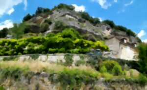 photo Printemps de la biodiversité - La flore sauvage des Eyzies