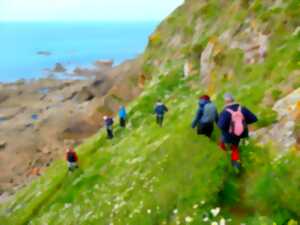 photo Stage yoga, randonnée