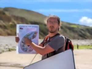 photo Sortie géologie : Galet, qui suis-je ?