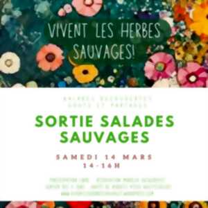 photo Sortie salades sauvages au Domaine les Hauts de Riquets