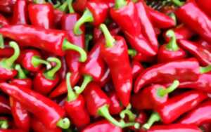 photo L’Atelier Découverte de la Ferme Kultur Piment