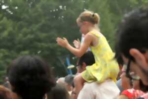 photo Fête du village