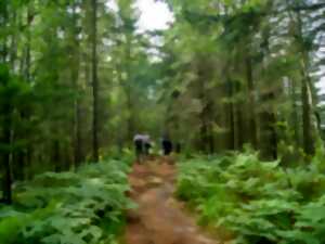 photo Sentiers Plaisir : Les panoramas d'Herbach à la Mullerplatz