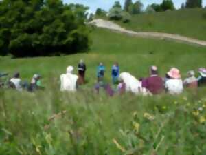 photo Festival de Musique du Haut-Jura : La Caravane Musicale – Randonnée poétique et musicale
