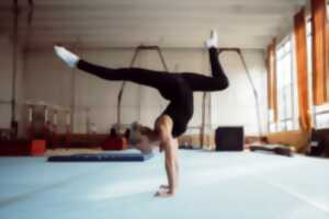 photo Gala annuel Gym Forme Loisirs de Monflanquin