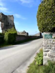 photo Regnéville ouvre ses jardins aux artistes