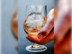 photo Salon Extrabrut(es)