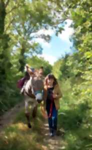 photo Découverte du bocage avec un âne du Cotentin