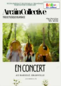 photo Soirée irlandaise : Arcáin Collective - trio de musique irlandaise