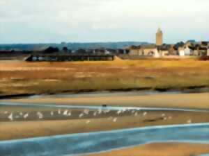 photo Collecte de déchets - Plage de Porbail