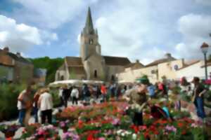 photo Les Fleurs de mai