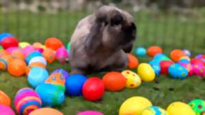 photo Chasse aux oeufs à la ferme de Maillofargueix