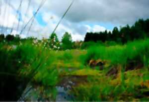 photo Secrets et richesses des tourbières