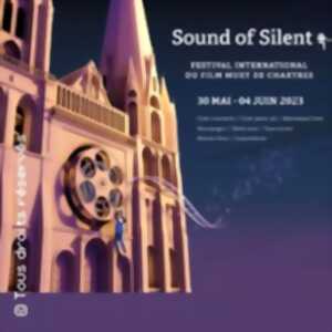 photo Sound Of Silent - Festival  International du Film Muet de Chartres