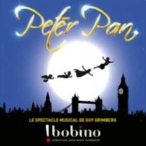 photo Peter Pan, le Spectacle Musical - Bobino, Paris  