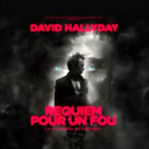 photo David Hallyday - Requiem pour un Fou - Tournée