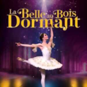 photo La Belle au Bois Dormant -  International Festival Ballet