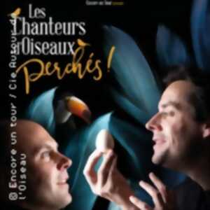 photo Les Chanteurs D'Oiseaux, Perchés !