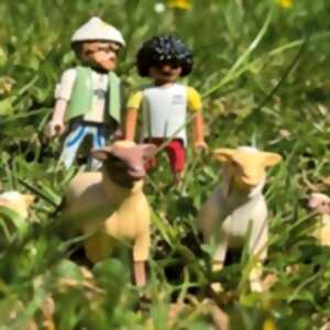 photo Foutue Bergerie - Théâtre du Rond-Point , Paris