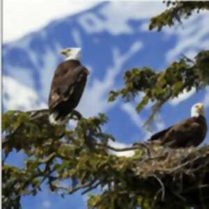 photo Tout est Calme dans les Hauteurs - Théâtre du Rond-Point, Paris