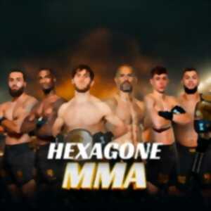 photo Hexagone MMA