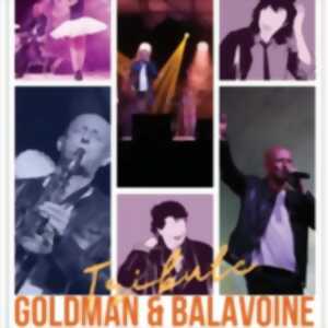 photo Tribute Goldman & Balavoine