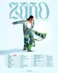 photo Zaho - La Tournée