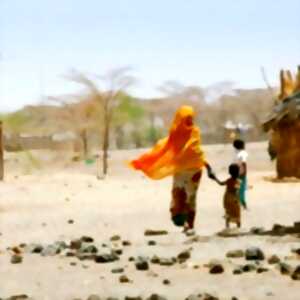 photo Festival Partances - 22ème Édition