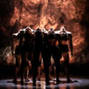 photo Compagnie Recirquel - Paradisum - Tournée