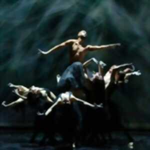 photo Compagnie Blanca Li - Didon & Enée