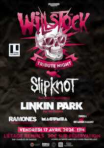 photo Willstock Festival