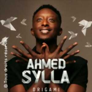 photo Ahmed Sylla, Origami - Tournée