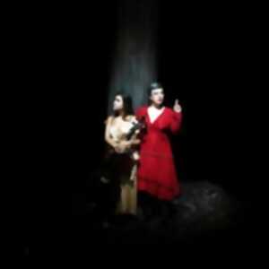 photo Birds On A Wire