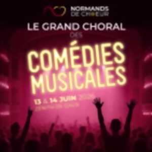 photo Le Grand Choral des Comédies Musicales au profit de la SNSM