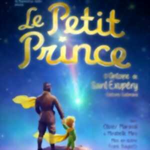 photo Le Petit Prince - Le Théâtre de Jeanne, Nantes