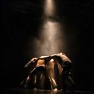 photo Upshot - Compagnie Relevant