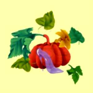 photo Cendrillon - Théâtre de l'Athénée, Paris