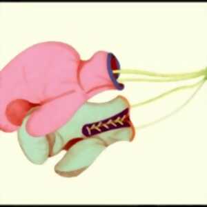 photo Des Hommes Endormis - Théâtre de l'Athénée, paris