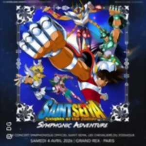 photo Saint Seiya Symphonic Adventure - Les Chevaliers du Zodiaque