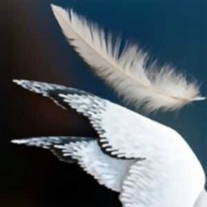 photo La Mouette - Anton Tchekhov - Le Carré Rond, Marseille