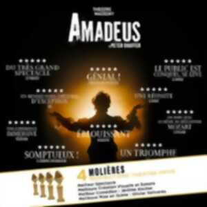 photo Amadeus - Théâtre Marigny, Paris