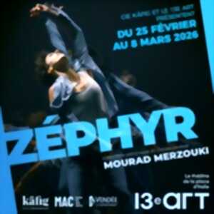 photo Zéphyr de Mourad Merzouki - Le 13ème Art, Paris