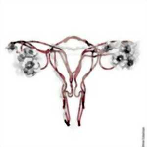 photo Le Choeur des Femmes