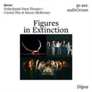 photo Figures in Extinction