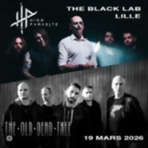 photo High Parasite + The Old Dead Tree