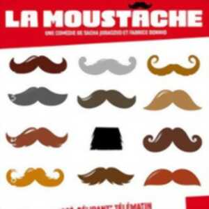 photo La Moustache - Tournée