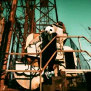 photo Amaury Faye Nola Quartet - Rust