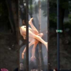 photo Alice Rende - Fora